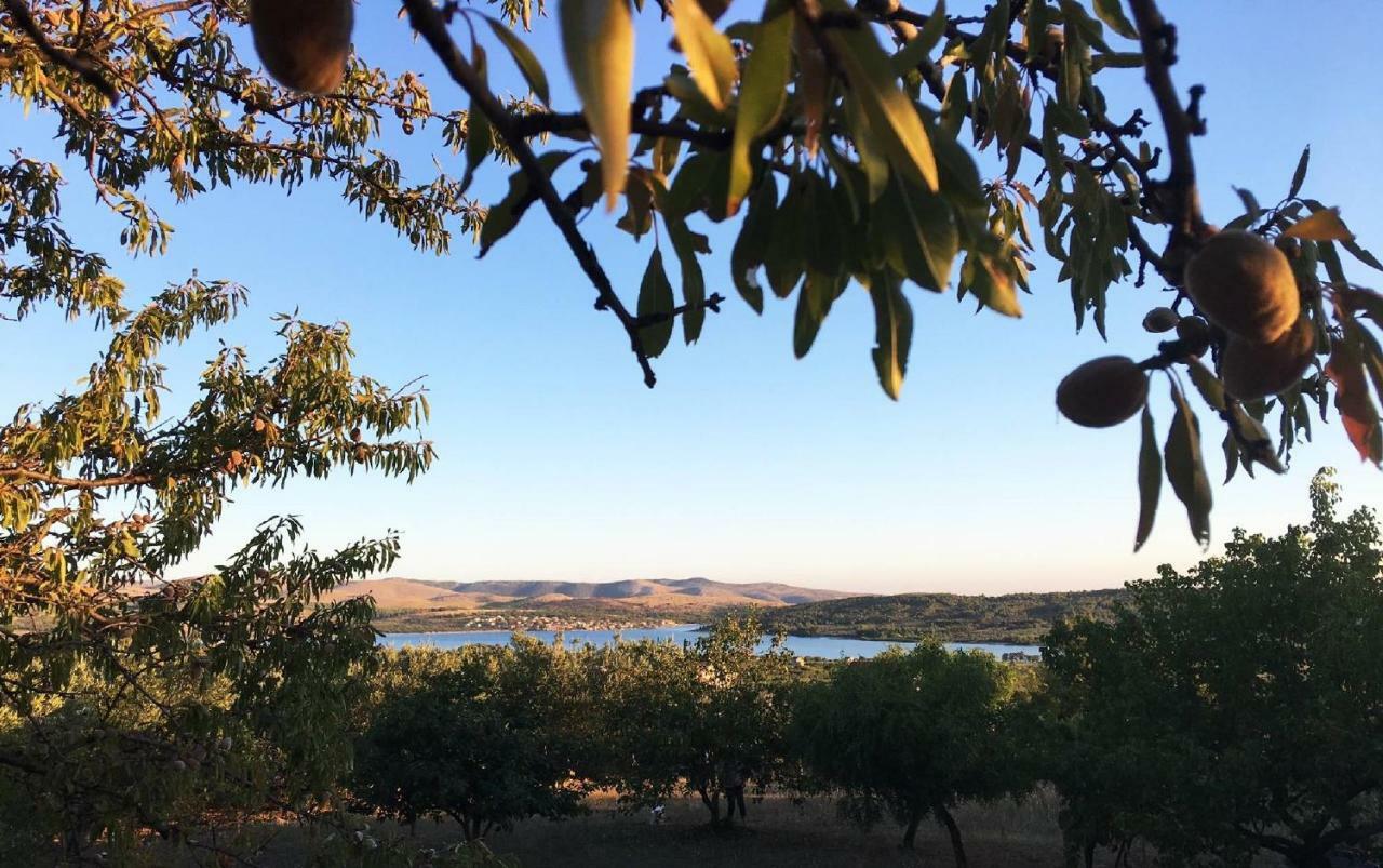 The Garden Of Elais Villa Šibenik Exteriör bild